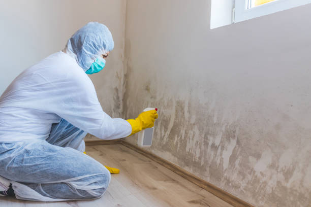 Licensed Mold Testing service in Decatur, MI - WQB Mold Removal
