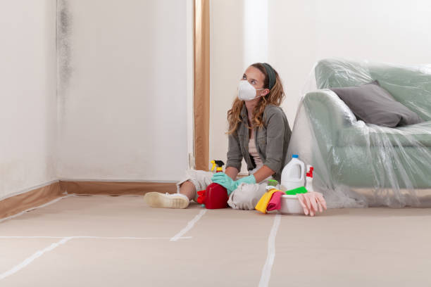 Reliable Mold Testing contractor in Decatur, MI by WQB Mold Removal